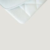 CHANEL DIANA MEDIUM BAG