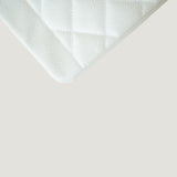 CHANEL DIANA MEDIUM BAG