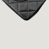 CHANEL CLASSIC SMALL BAG