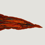 HERMÈS SCARF