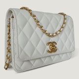 CHANEL WALLET ON CHAIN