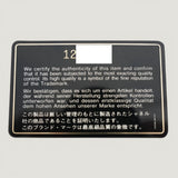 CHANEL FULL FLAP BAG