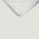 CHANEL DIANA MEDIUM BAG