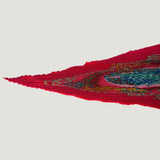 HERMÈS SCARF | GRANDS FONDS